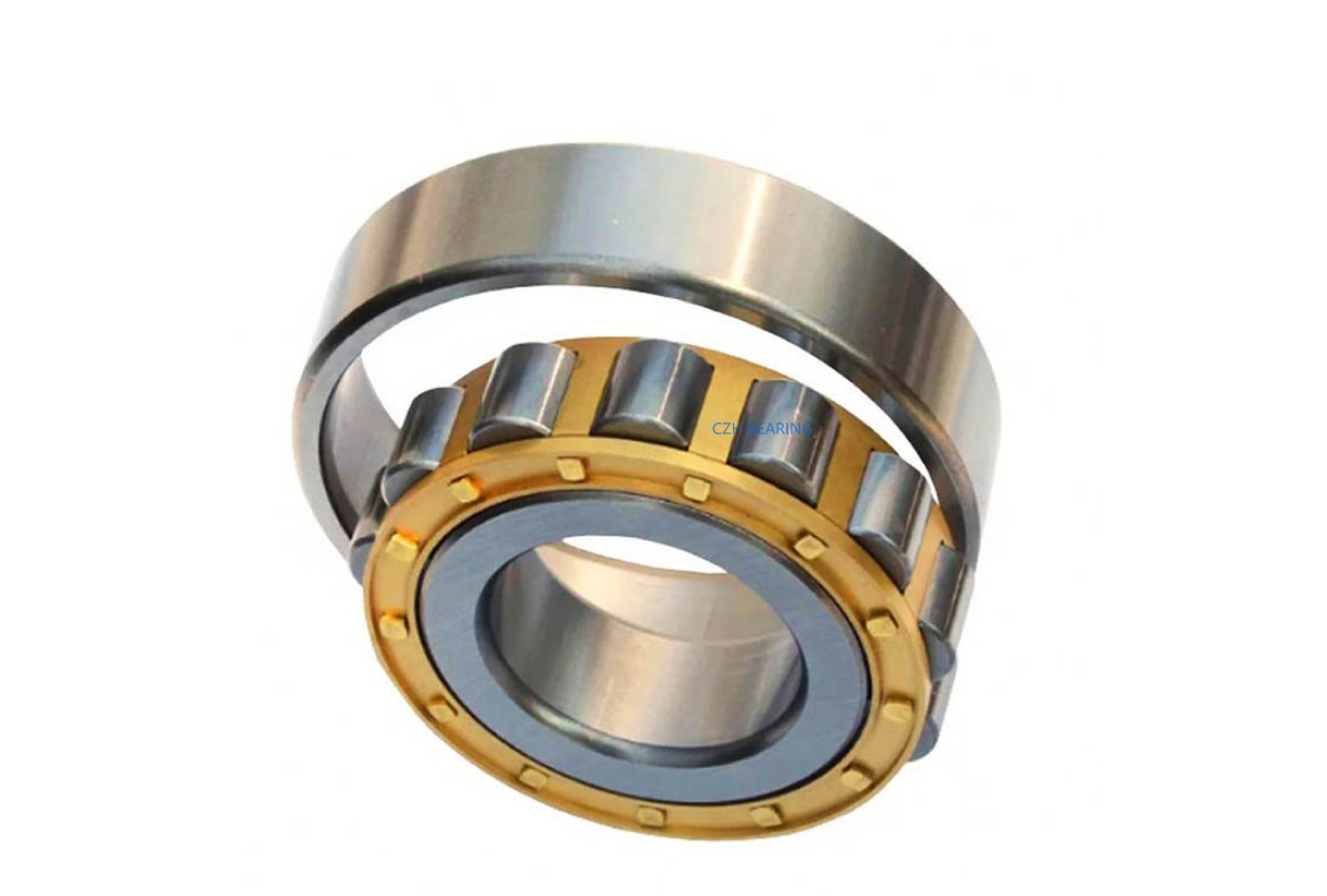 RIP, RP type cylindrical roller bearings