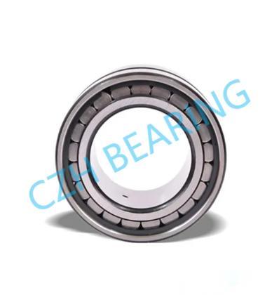 SL,RSL type full complement cylindrical roller bearing