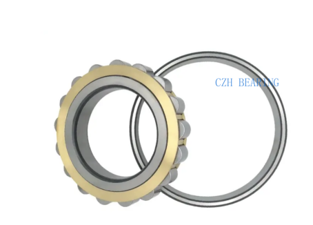 RIN, RN type cylindrical roller bearings